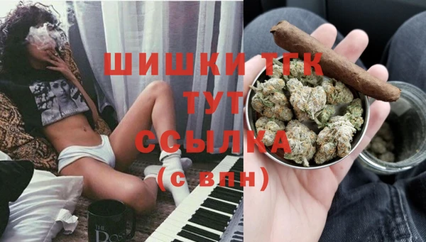 молекула духа Кинешма