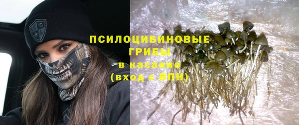 молекула духа Кинешма