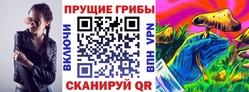 Псилоцибиновые грибы мицелий Сатка